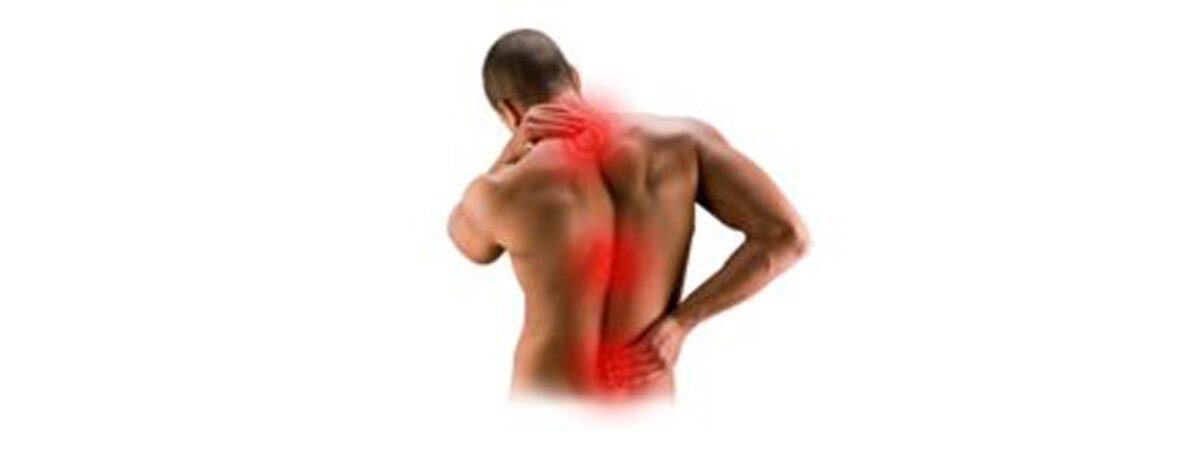 Back and Neck Physical Therapy Program